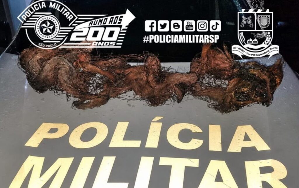 kg de cobre furtado de cabos de telefonia em Jaú Polícia Civil/Divulgação