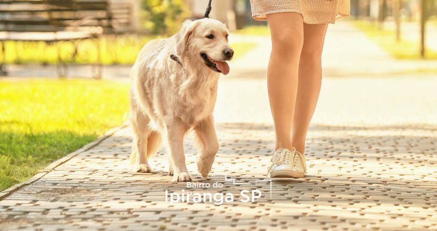 pet-friendly-no-Ipiranga