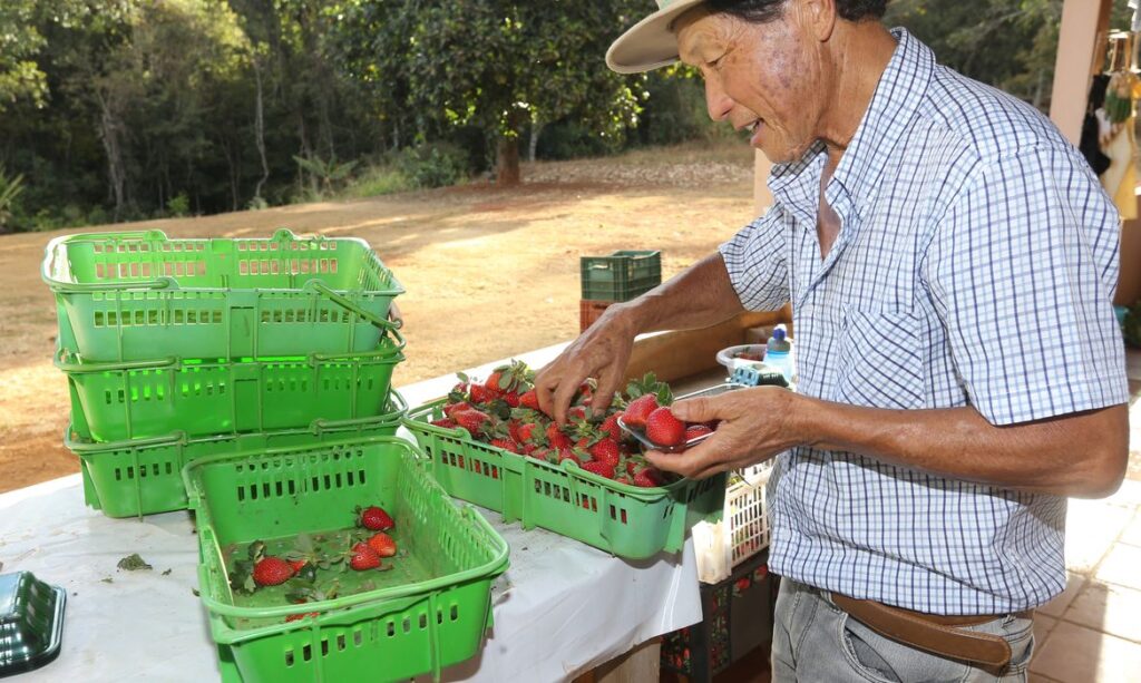 Finep destina R$ 220 milhões para impulsionar a inovação na agricultura familiar brasileira