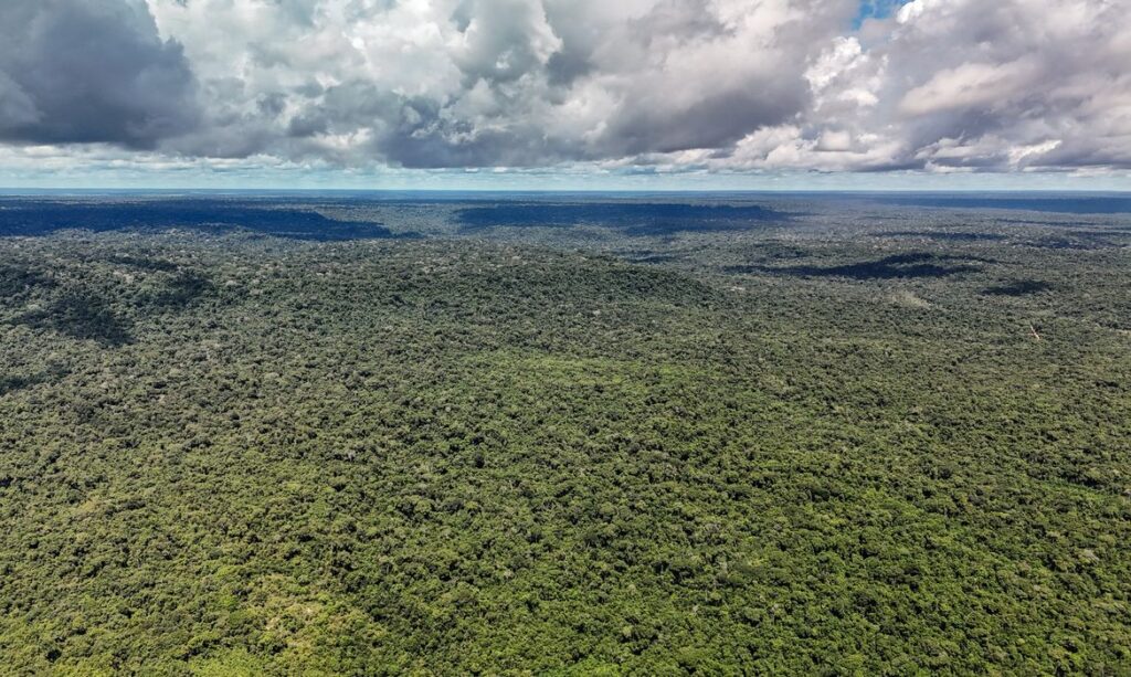Além da rivalidade no futebol, Brasil e Noruega aprofundam cooperação ambiental por florestas globais