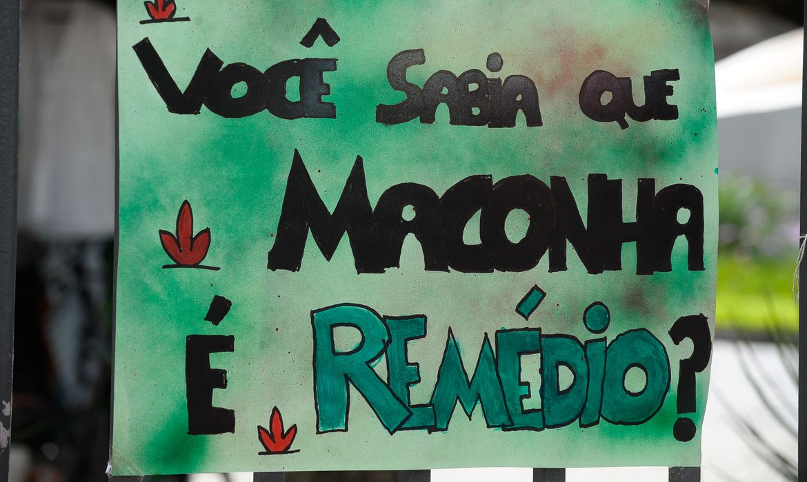 Especialistas debatem cannabis medicinal no 2º simpósio da Alece
