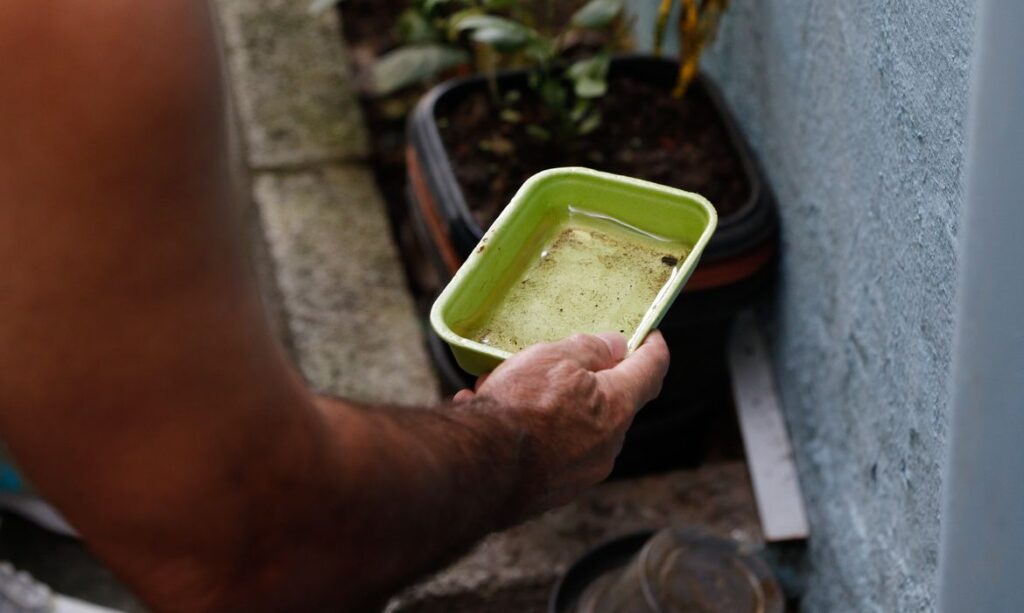 Alerta: El Niño eleva ameaça de dengue e chikungunya no Brasil