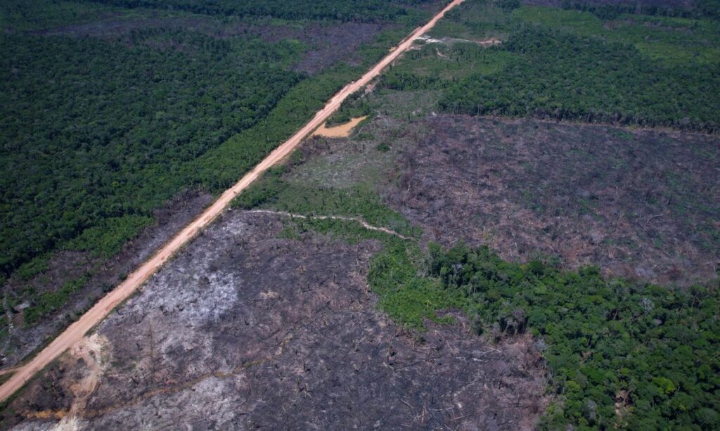 Novo leilão do Eco Invest Brasil busca impulsionar inovação e transição ecológica no país