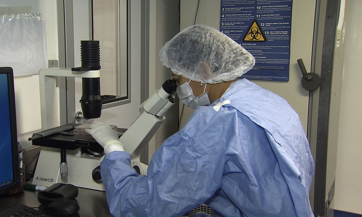 Remissão do HIV: novos casos com transplante de células-tronco reacendem esperança na ciência