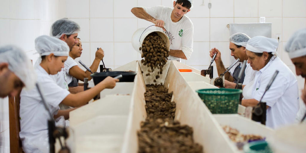 Acordo Mercosul-ue: consulta sobre bens sustentáveis encerra prazo em setembro de 2026