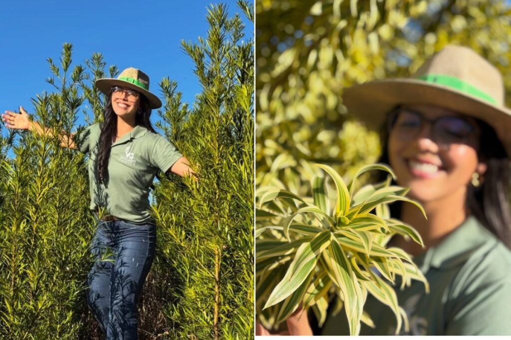Pariquera-açu: como a capital das plantas ornamentais impulsiona a economia do Vale do Ribeira
