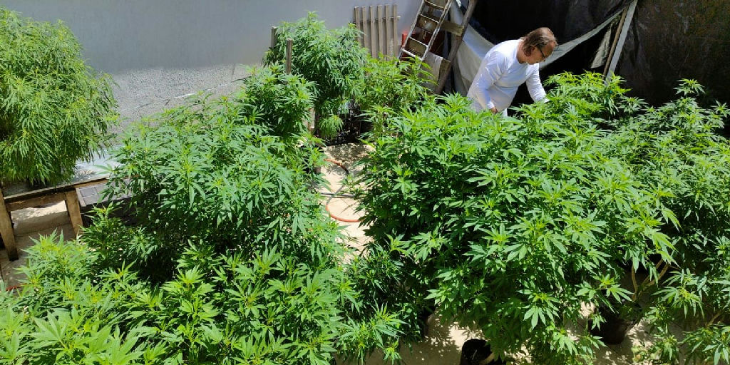 Debate sobre políticas de drogas e justiça social ganha destaque em evento no Ceará