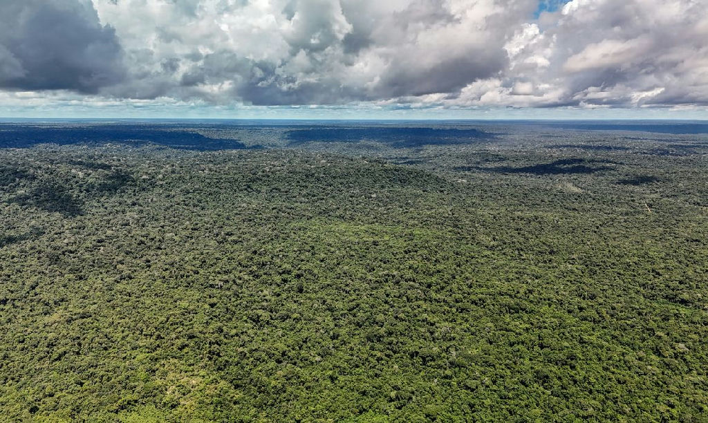 Governo assegura US$ 1 bilhão do BID para Eco Invest Brasil e transição ecológica