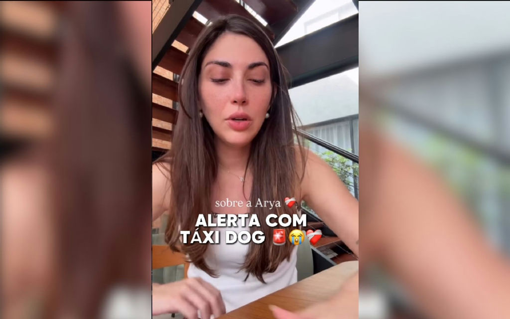 Morte de cadela em táxi-dog alerta tutores sobre riscos de superaquecimento