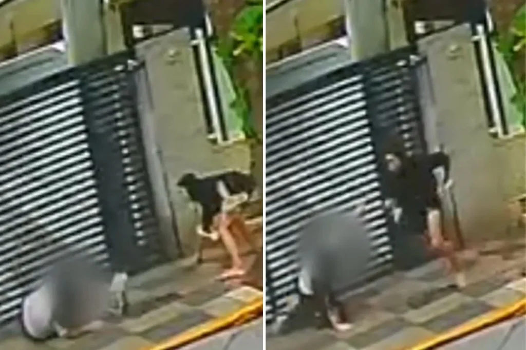Mulher é violentamente derrubada e roubada em assalto no litoral de São Paulo