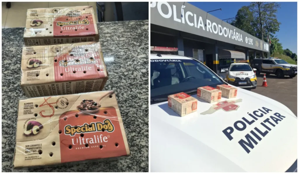 Passageiro é detido em Aguaí por tráfico de aves silvestres em ônibus interestadual