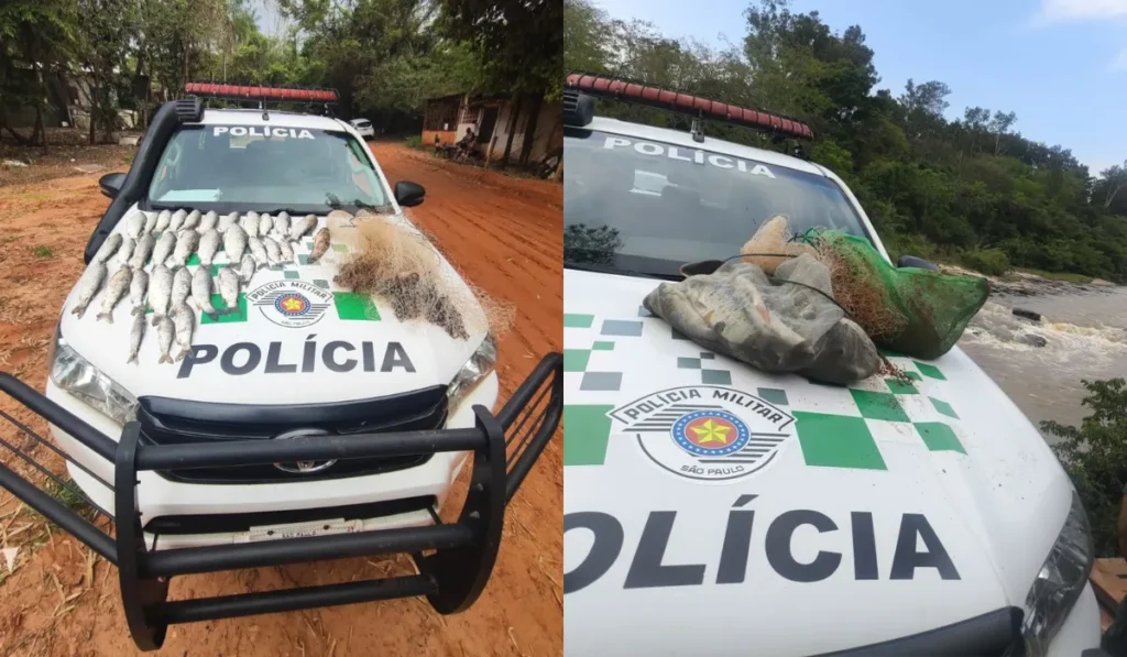 Pesca irregular com tarrafa no Rio do Peixe resulta em multa e processo criminal no interior de SP