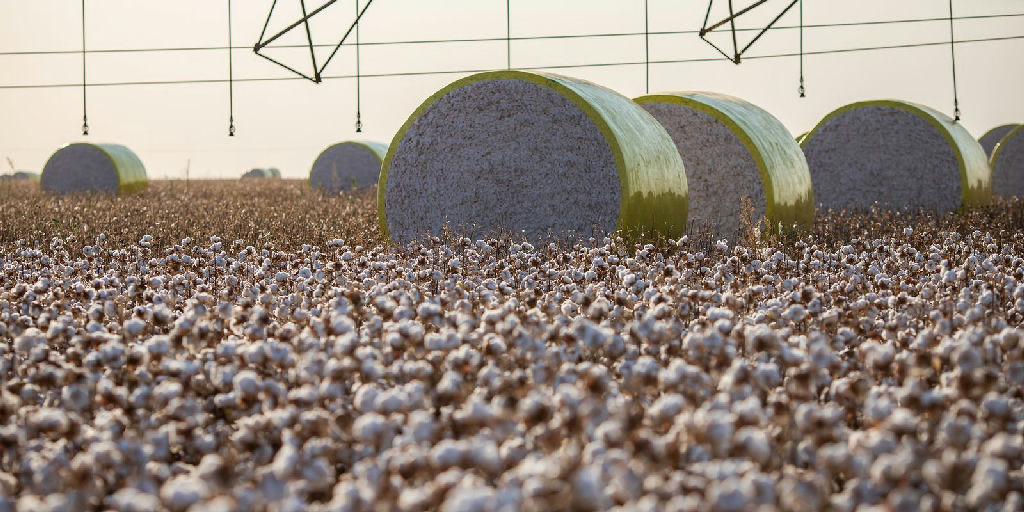 Reconfiguração territorial explica por que Sorriso perdeu liderança na produção agrícola nacional