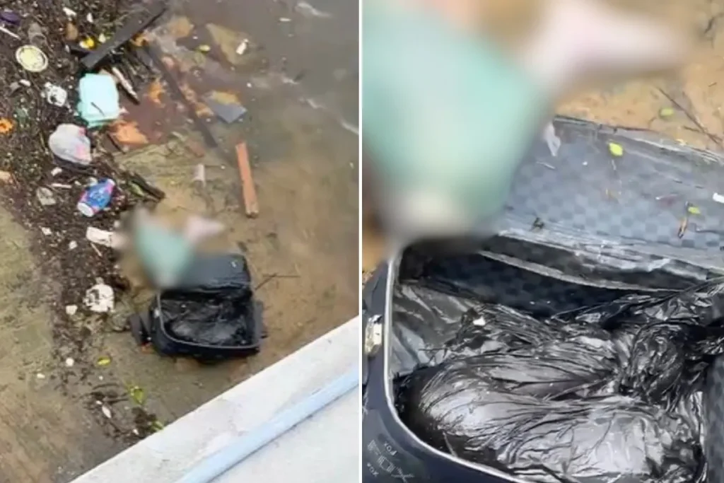 Restos humanos em mala: descoberta em São Vicente choca litoral paulista
