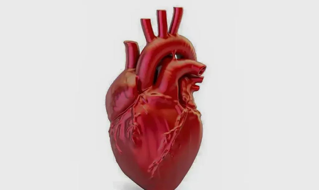 Doenças cardiovasculares: Brasil registra uma morte a cada 72 segundos, alerta novo hub