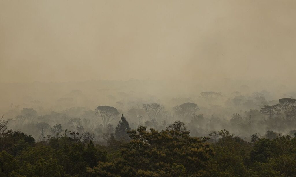 Força Nacional do SUS atende vítimas de incêndios no Amazonas