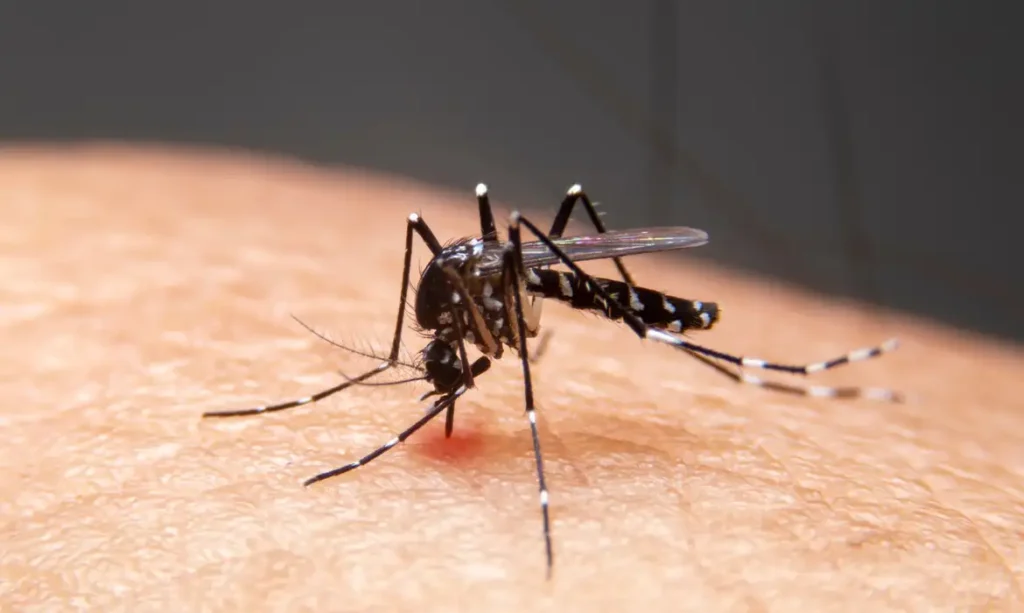 Impacto das mudanças climáticas no aumento de doenças infecciosas no Brasil