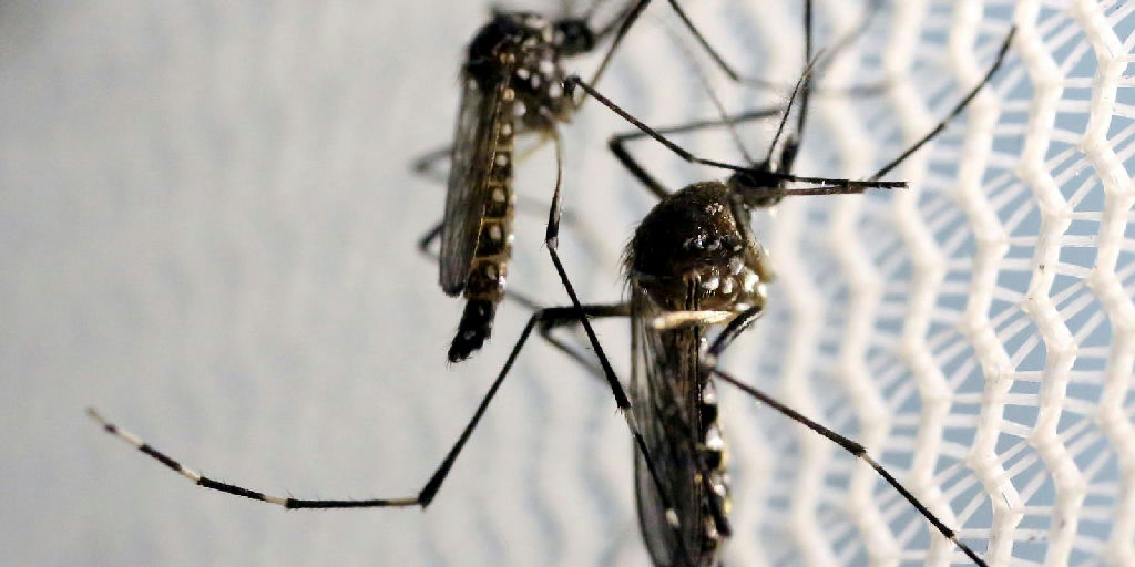 Quase metade dos municípios brasileiros enfrenta alerta ou risco do Aedes