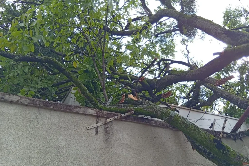 Rajadas de vento de 81,5 km/h causam estragos em Presidente Prudente e colocam SP em alerta