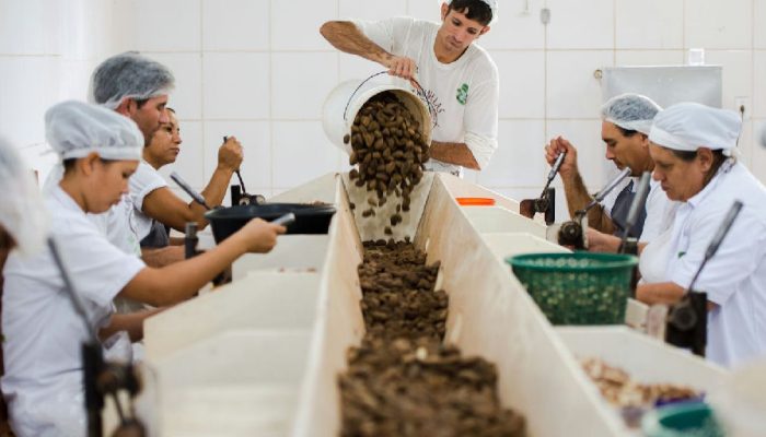 Acordo Mercosul-ue: consulta sobre bens sustentáveis encerra prazo em setembro de 2026