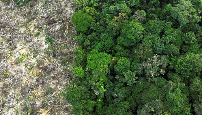 Crédito: agenciabrasil.ebc.com.br