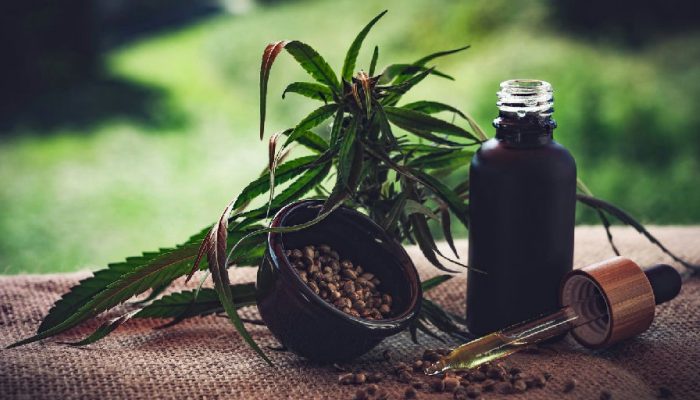 Associações apontam insegurança jurídica e lacunas em normas sobre cannabis medicinal