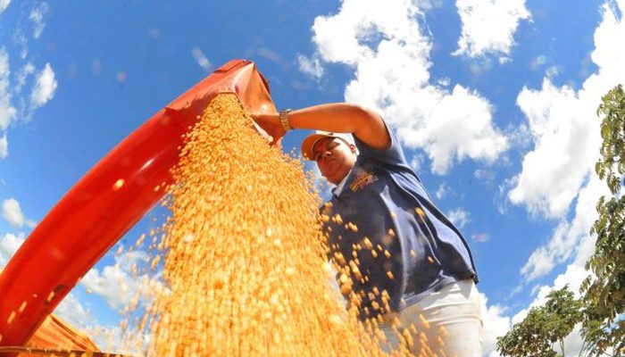 Atividade econômica brasileira recua 0,6% em junho, aponta Banco Central