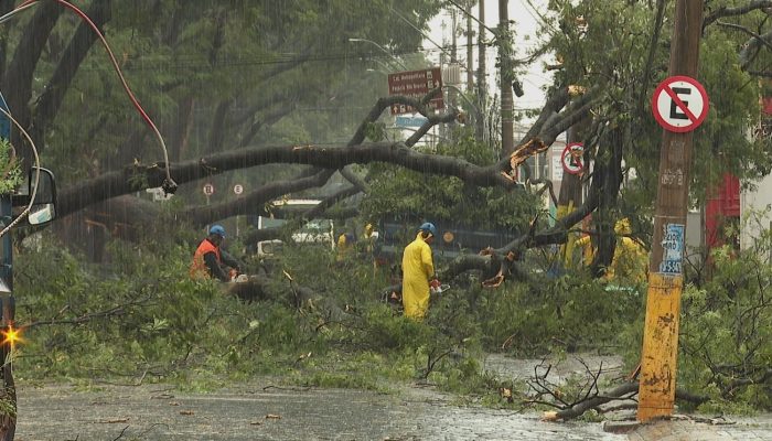 Caos pós-temporal em Ribeirão Preto: falta de energia gera prejuízos e moradores buscam ressarcimento