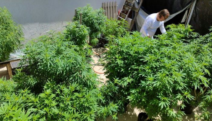 Debate sobre políticas de drogas e justiça social ganha destaque em evento no Ceará