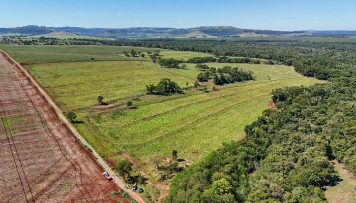 Declaração do ITR 2026: prazo final para proprietários rurais termina nesta quarta