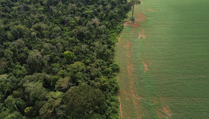 Crédito: agenciabrasil.ebc.com.br