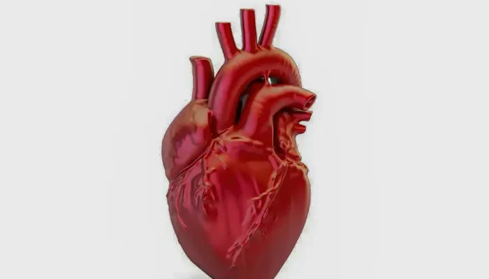 Doenças cardiovasculares: Brasil registra uma morte a cada 72 segundos, alerta novo hub