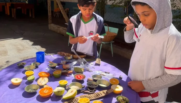 Educação integral em Presidente Prudente: Cidadescola transforma jornada de 2 mil alunos e concorre a prêmio nacional
