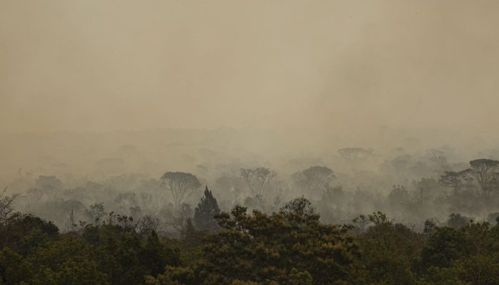 Força Nacional do SUS atende vítimas de incêndios no Amazonas
