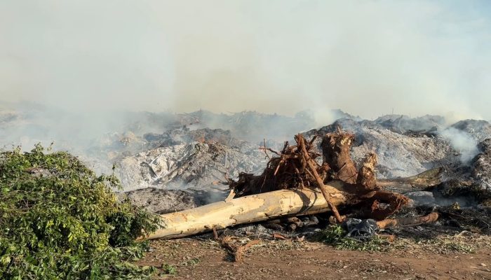 Fumaça e chamas: depósito de galhos em Presidente Prudente enfrenta grande incêndio