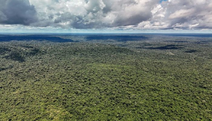 Governo assegura US$ 1 bilhão do BID para Eco Invest Brasil e transição ecológica
