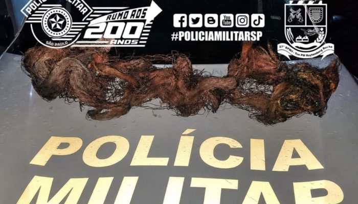 kg de cobre furtado de cabos de telefonia em Jaú Polícia Civil/Divulgação