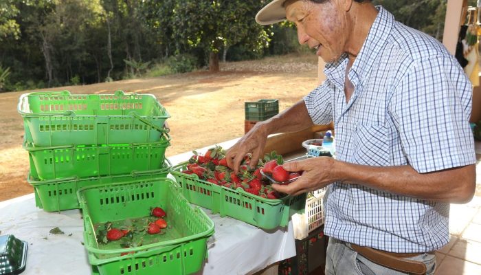 Finep destina R$ 220 milhões para impulsionar a inovação na agricultura familiar brasileira