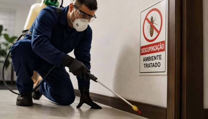 Descupinização em condomínios: entenda quem paga a conta e a importância da ação rápida