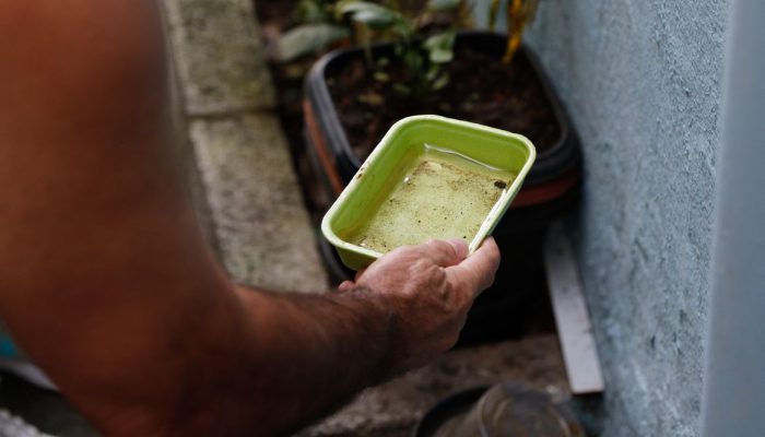 Alerta: El Niño eleva ameaça de dengue e chikungunya no Brasil