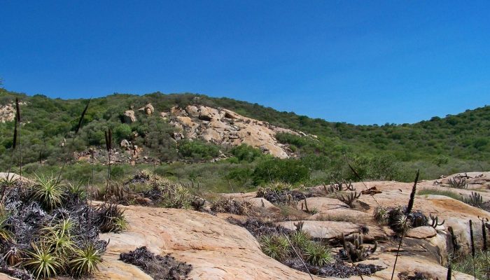 Crédito: agenciabrasil.ebc.com.br