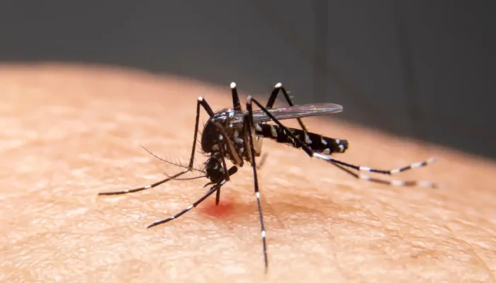 Impacto das mudanças climáticas no aumento de doenças infecciosas no Brasil