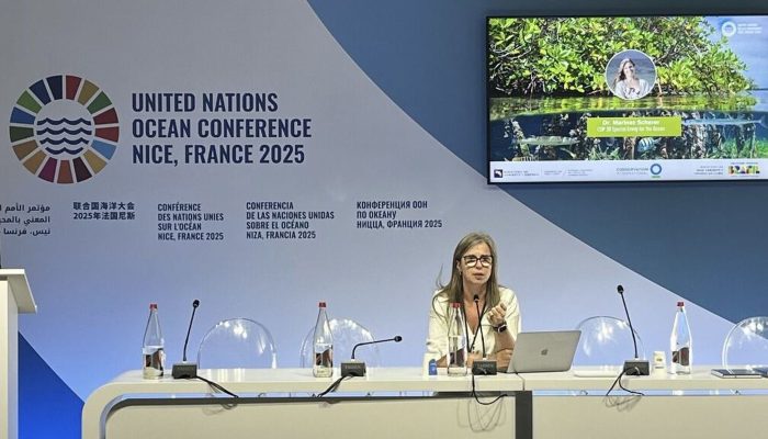 Crédito: agenciabrasil.ebc.com.br