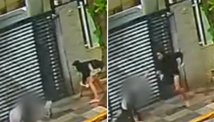Mulher é violentamente derrubada e roubada em assalto no litoral de São Paulo