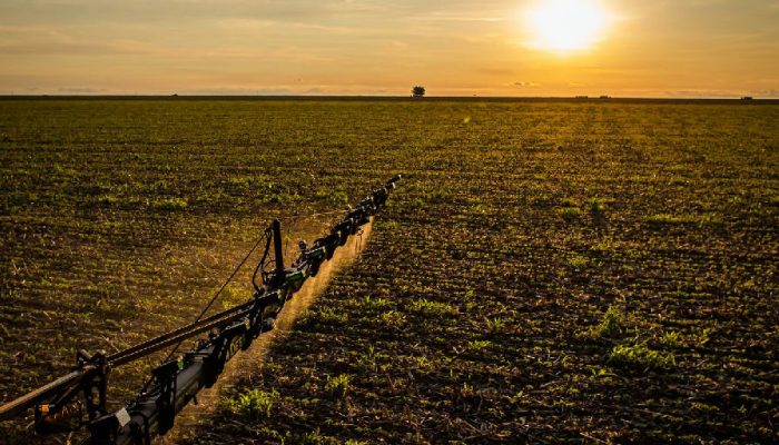 Novas regras do seguro rural fortalecem proteção e cobertura para produtores brasileiros