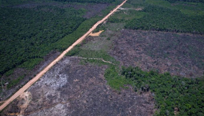 Novo leilão do Eco Invest Brasil busca impulsionar inovação e transição ecológica no país