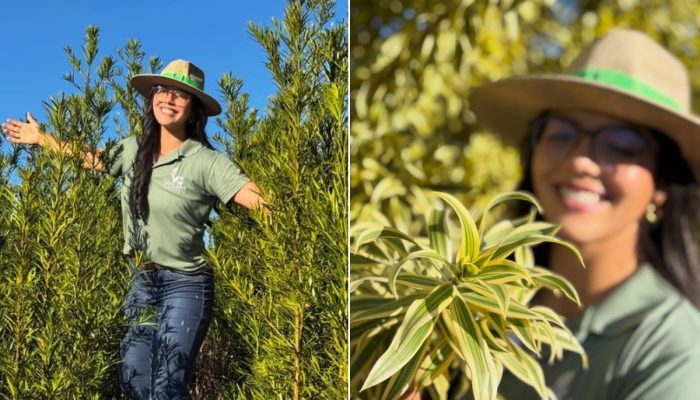 Pariquera-açu: como a capital das plantas ornamentais impulsiona a economia do Vale do Ribeira