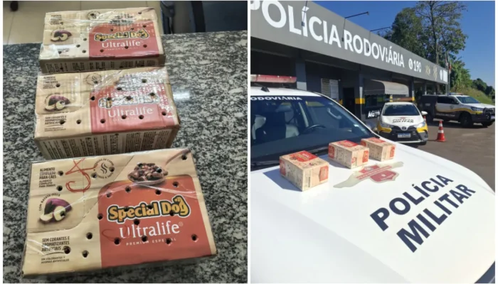 Passageiro é detido em Aguaí por tráfico de aves silvestres em ônibus interestadual