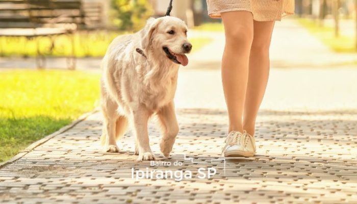 pet-friendly-no-Ipiranga