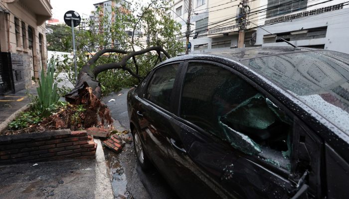 Crédito: agenciabrasil.ebc.com.br